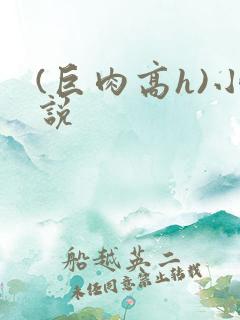 (巨肉高h)小说