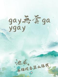 gay无套gaygay