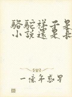 骆驼祥子是短篇小说还是长篇小说