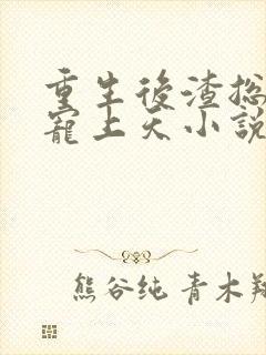 重生后渣总把我宠上天小说完整版