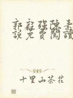 郭毅强陈素卿小说免费阅读笔趣阁