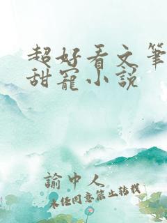 超好看文笔好的甜宠小说