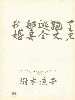 我那逃跑了的未婚妻全文免费阅读