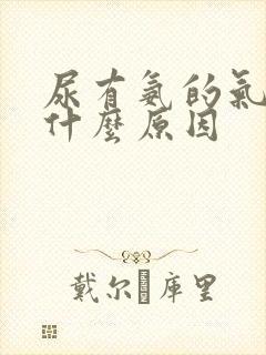 尿有氨的气味是什么原因