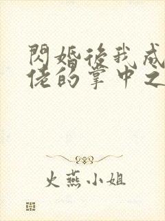 闪婚后我成为大佬的掌中之物