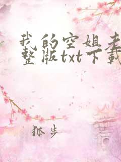 我的空姐老婆完整版txt下载