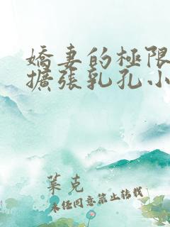 娇妻的极限凌虐扩张乳孔小说