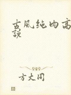 古风纯肉高h小说