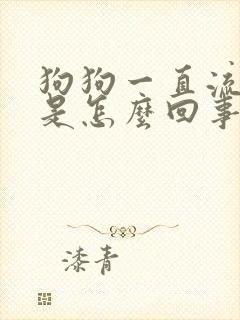 狗狗一直流口水是怎么回事