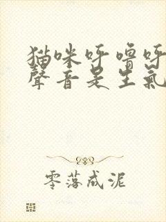 猫咪呼噜呼噜的声音是生气还是高兴