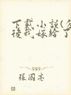 下载小说(分手后我嫁给了前任小叔)