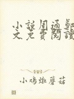 小说周通郑燕全文免费阅读无弹窗