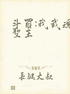 斗罗:我武魂是圣主