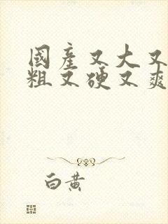 国产又大又长又粗又硬又爽的视频