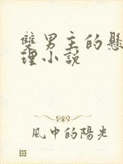 双男主的悬疑推理小说