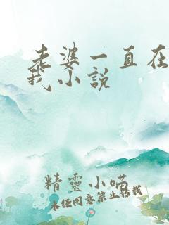 老婆一直在追杀我小说