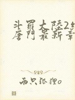 斗罗大陆2绝世唐门最新章节小说