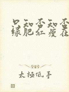 只知否知否应是绿肥红瘦在线观看