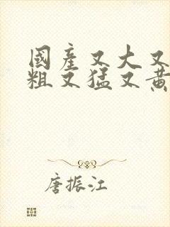 国产又大又长又粗又猛又黄的视频