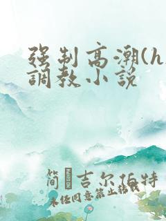 强制高潮(h)调教小说