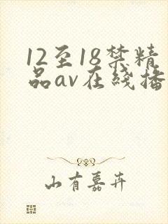 12至18禁精品av在线播放
