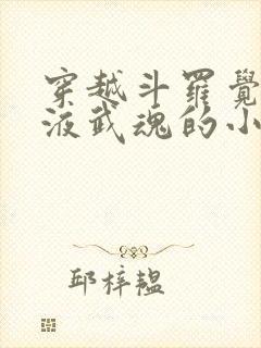 穿越斗罗觉醒血液武魂的小说