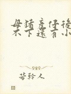 母猪产仔后胎衣不下还有小猪吗