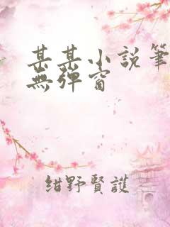 某某小说笔趣阁无弹窗