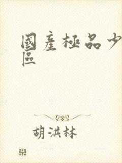 国产极品少妇一区