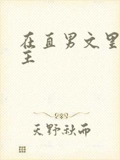 在直男文里撩男主