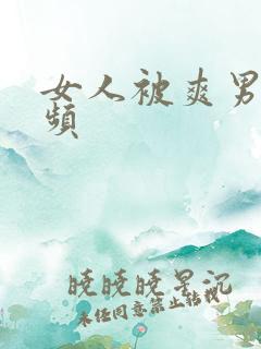 女人被爽男人视频