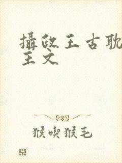 摄政王古耽双男主文