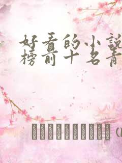 好看的小说排行榜前十名青春