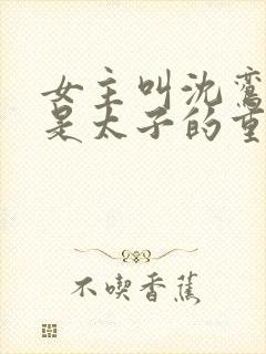 女主叫沈鸾男主是太子的重生小说