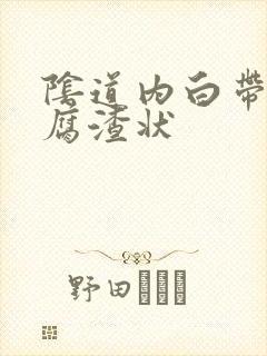 阴道内白带呈豆腐渣状