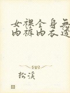 女裸全身无胸罩内裤内衣透明