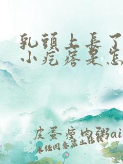 乳头上长了好多小疙瘩是怎么回事