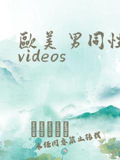 欧美 男同性 videos