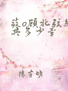 苏o顾北弦结局共多少章