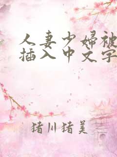 人妻少妇被猛烈插入中文字幕