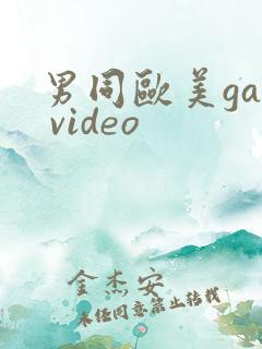 男同欧美gay video