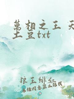 万相之王 天蚕土豆txt