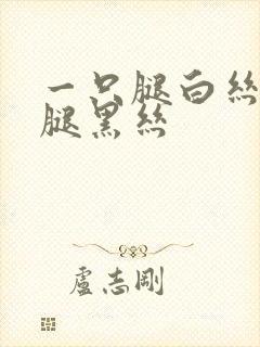 一只腿白丝一只腿黑丝