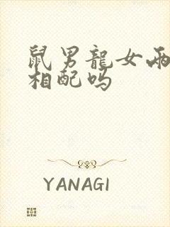 鼠男龙女两生肖相配吗