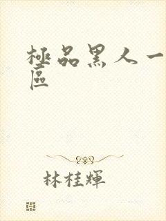 极品黑人一区二区