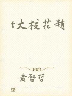 t大校花赵