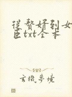 从赘婿到女帝宠臣txt全本