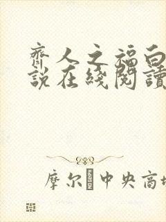 齐人之福白姨小说在线阅读