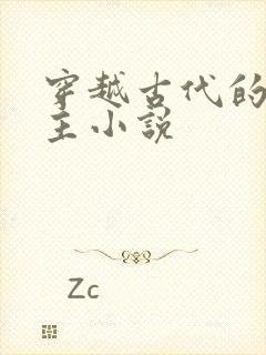 穿越古代的双男主小说