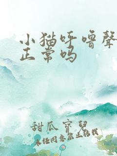 小猫呼噜声很大正常吗